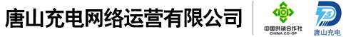 浅谈确定营销型网站主题的三大原则-行业新闻-汽车充电桩|唐山充电网络运营有限公司